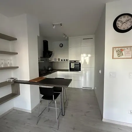 Nowe Apartment *